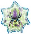 Insider Spider Web