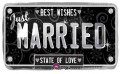 Just Married License Plate