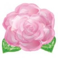 Pink Blooming Rose 