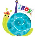 It's a Boy Snail Super Shape